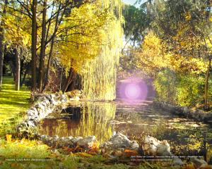 Paisaje del parque de El Retiro de Madrid.