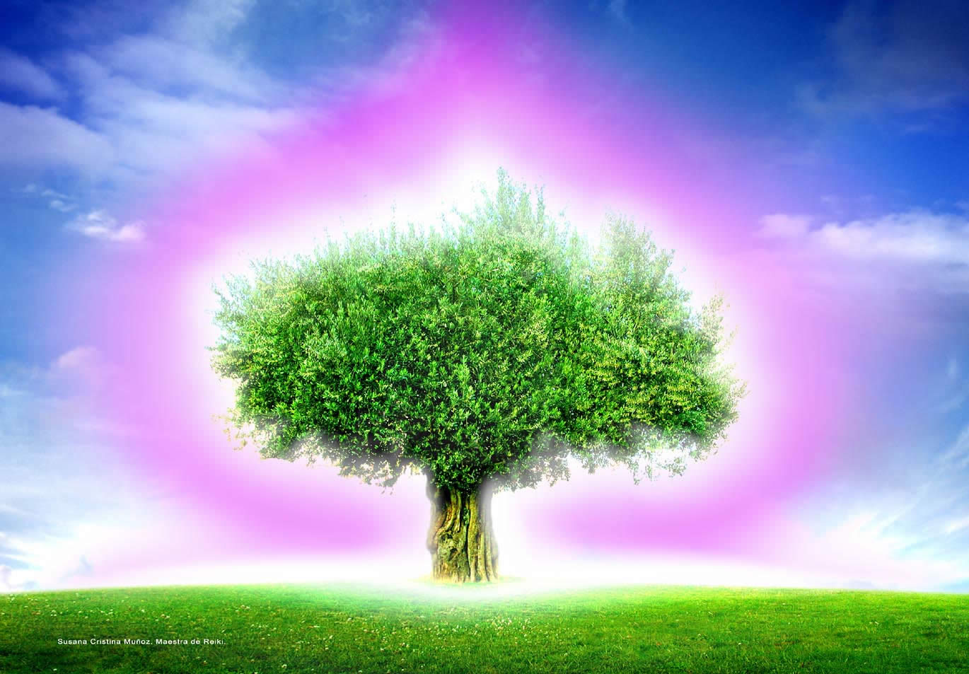 �rbol de luz. Susan.