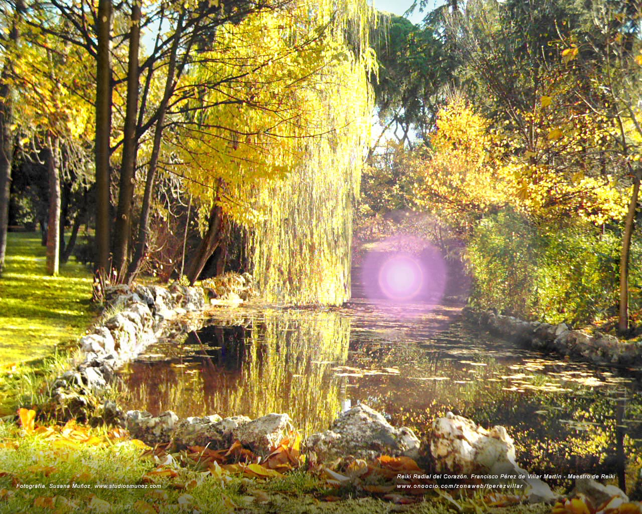 Paisaje Parque de El Retiro - Madrid - Jard�n Japon�s. 