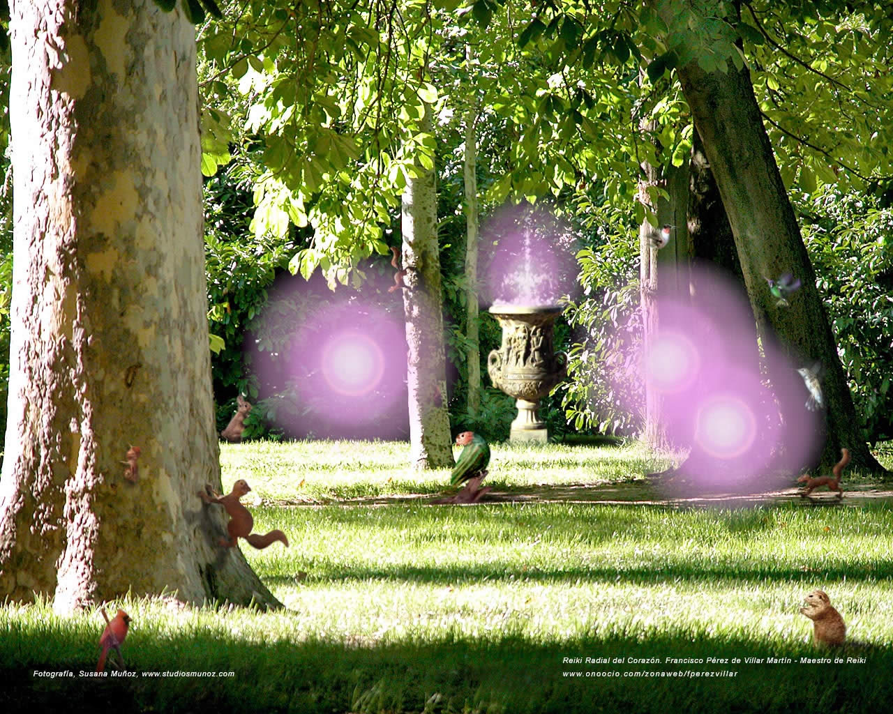 Parque de El Retiro de Madrid - Paisaje de la fuente - Composici�n. Reiki Radial del Coraz�n.